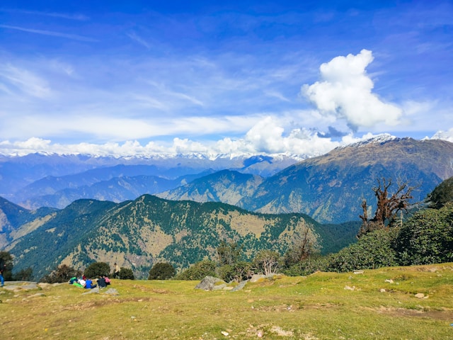 Chopta views