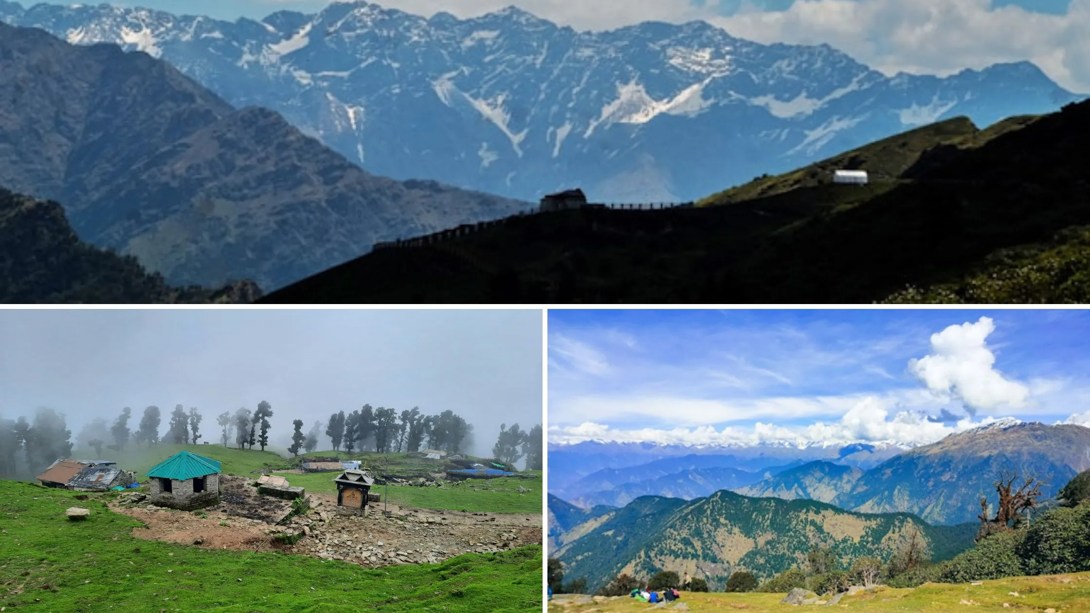 A Weekend Getaway to Chopta Valley